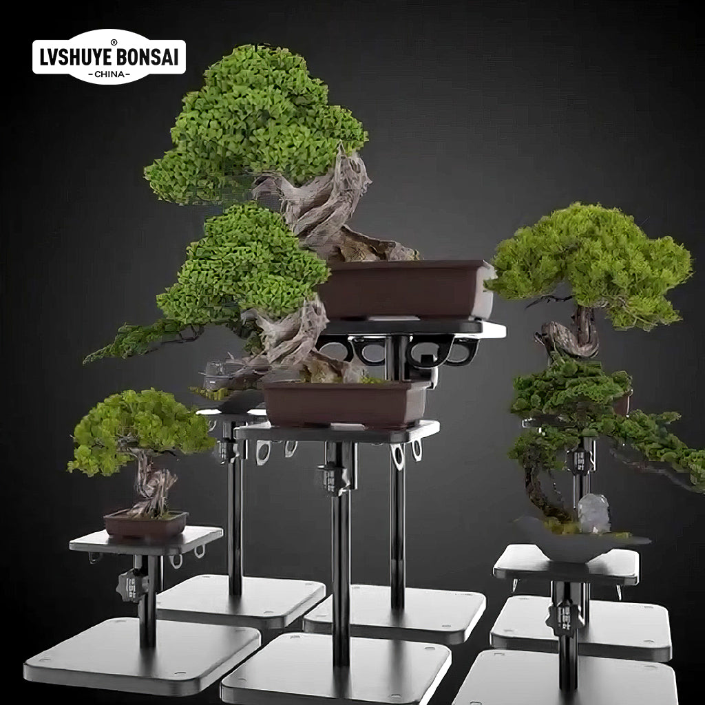 Universal bonsai turntable