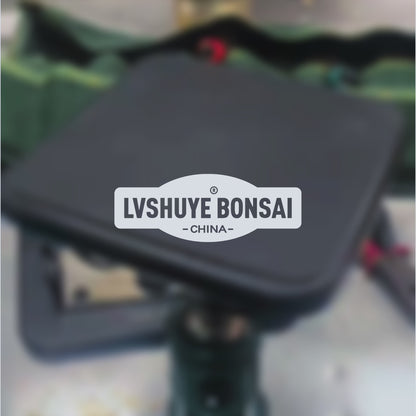 Universal bonsai turntable