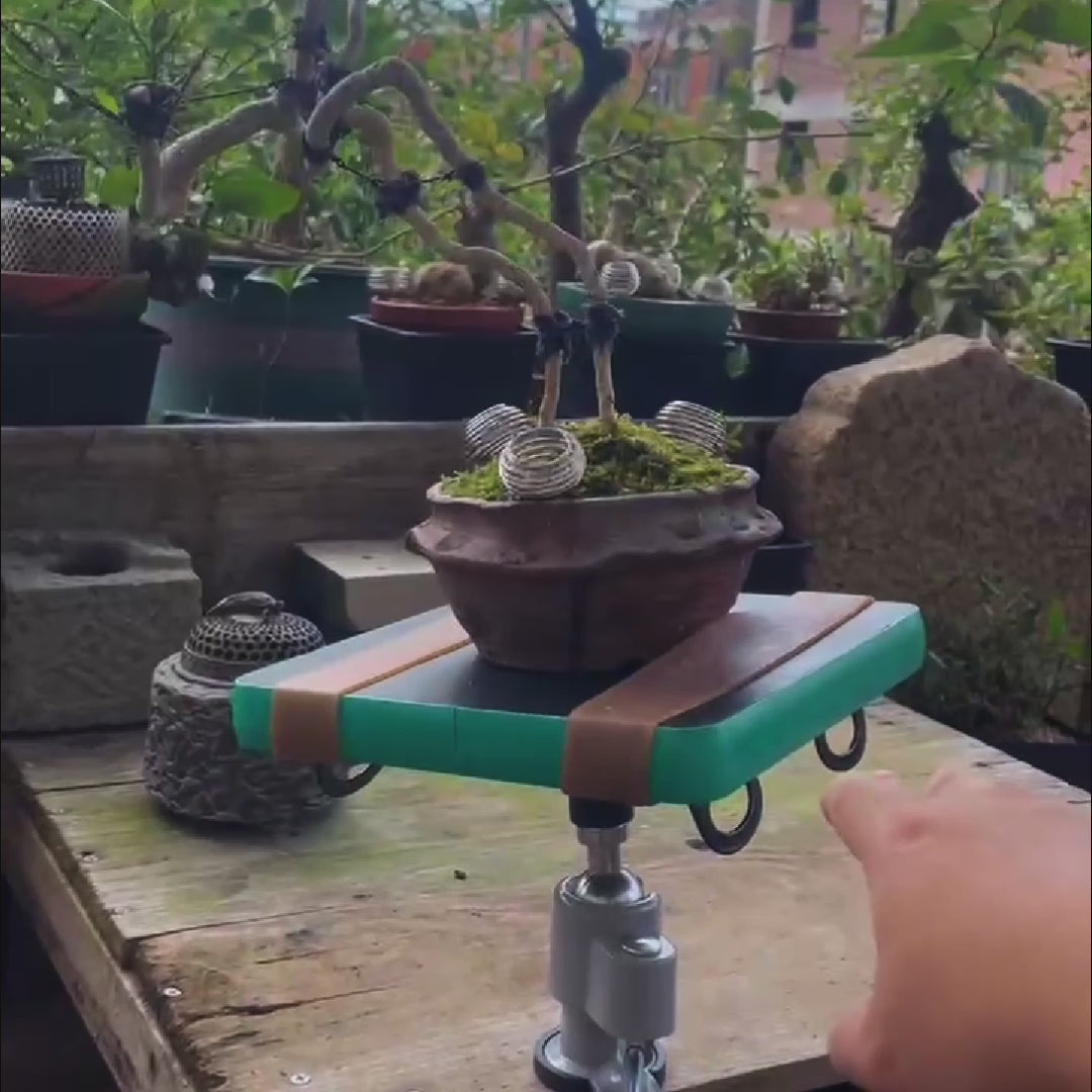 Bonsai Turntable Video Instructions